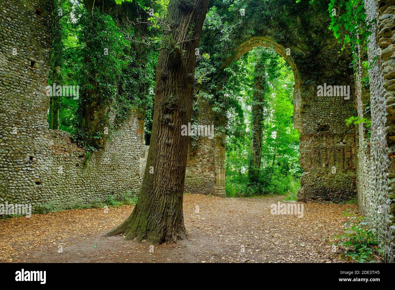 St. Mary's Church Ruine, East Somerton, Norfolk, England Stockfoto