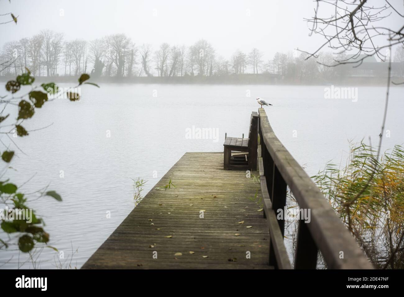 Hölzerner Steg am See mit einer Möwe an einem grau nebligen Herbsttag, Kopierraum, ausgewählter Fokus Stockfoto