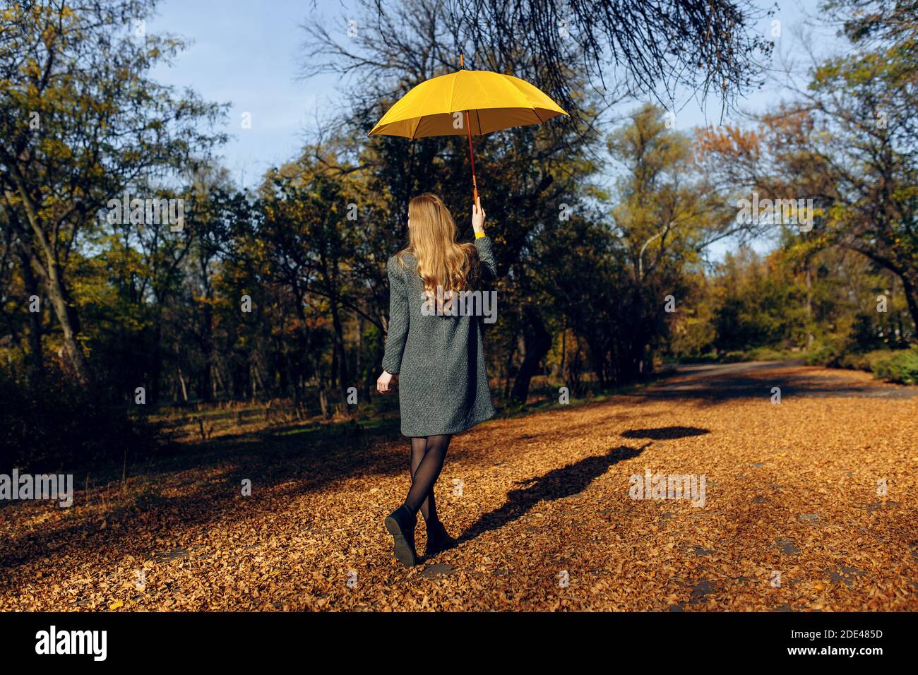 Rückansicht, ein stilvolles Mädchen in einem Mantel und mit einem gelben Regenschirm, Spaziergang durch den Park mit gelben Blättern, genießen Sie die herbstliche Wärme. Herbstzeit Stockfoto