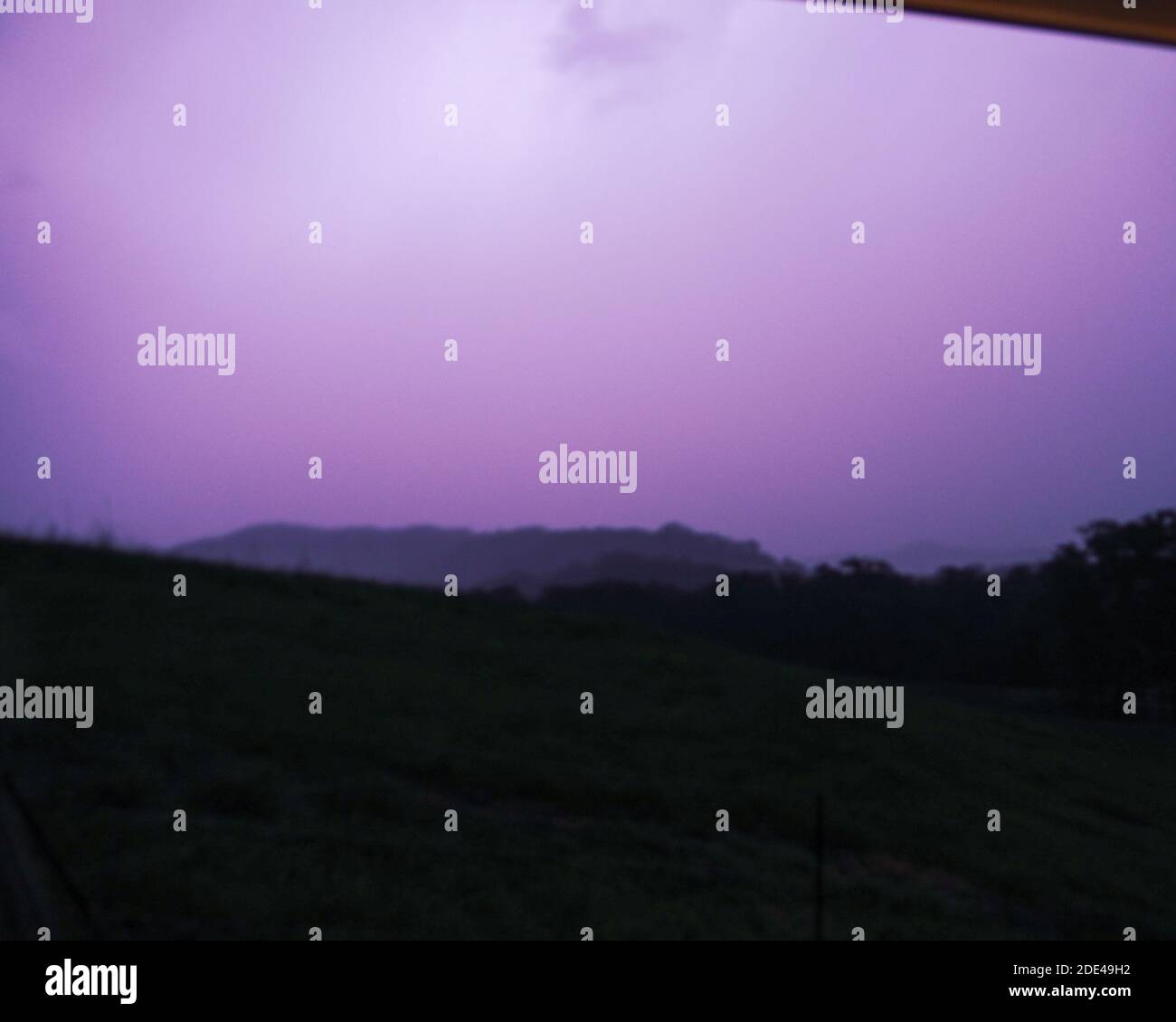 Blatt Blitz in der Nacht leuchtet der Himmel lila Stockfoto