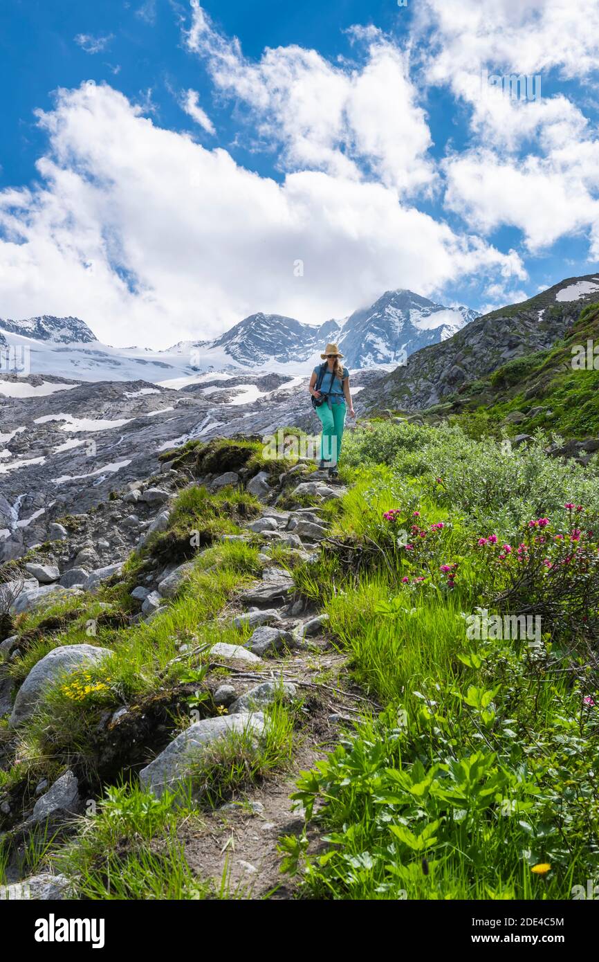 Wanderer auf dem Abstieg vom Schönbichler Horn zur Berliner Huette, Moränenlandschaft, Waxeggkees Gletscher, hinter Grosser Moeseler, Berliner Stockfoto