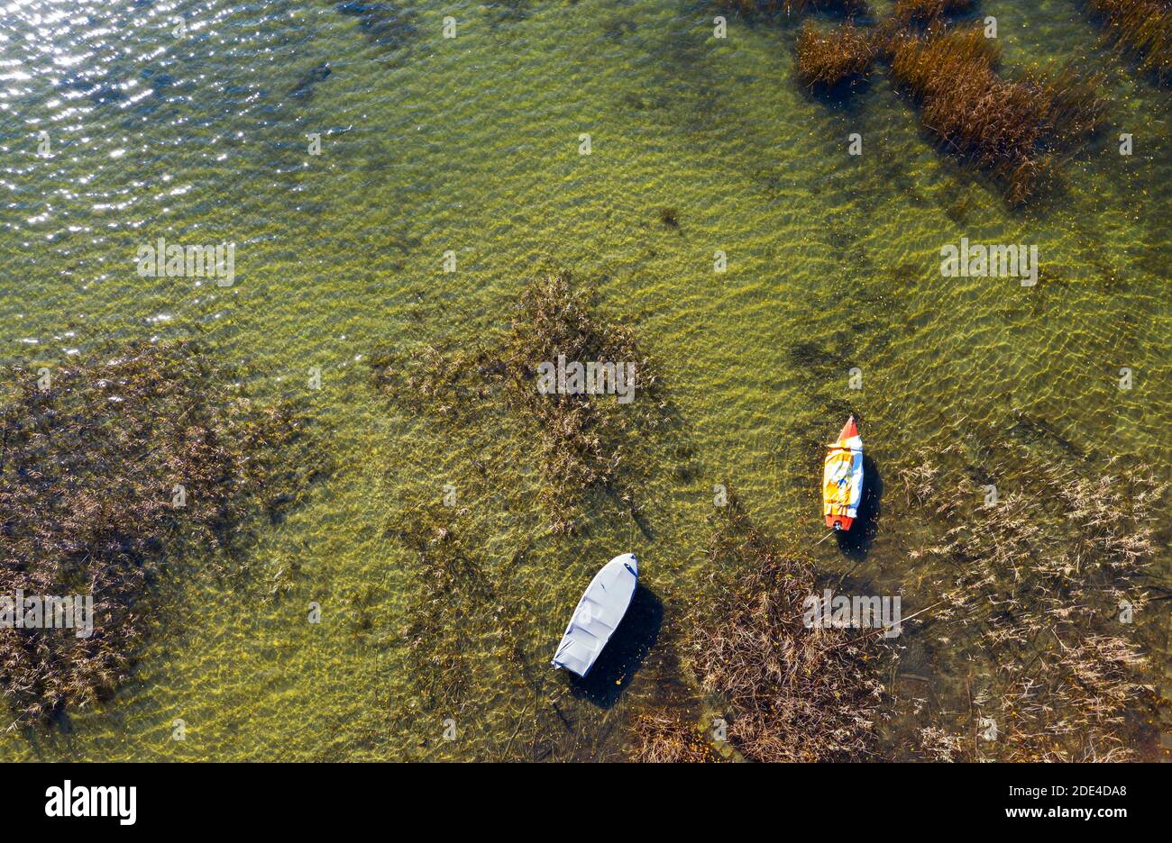 Boote im Schilfgürtel am Mondsee, Drohnenaufnahme, Luftaufnahme, Mondseeland, Salzkammergut, Oberösterreich, Österreich Stockfoto