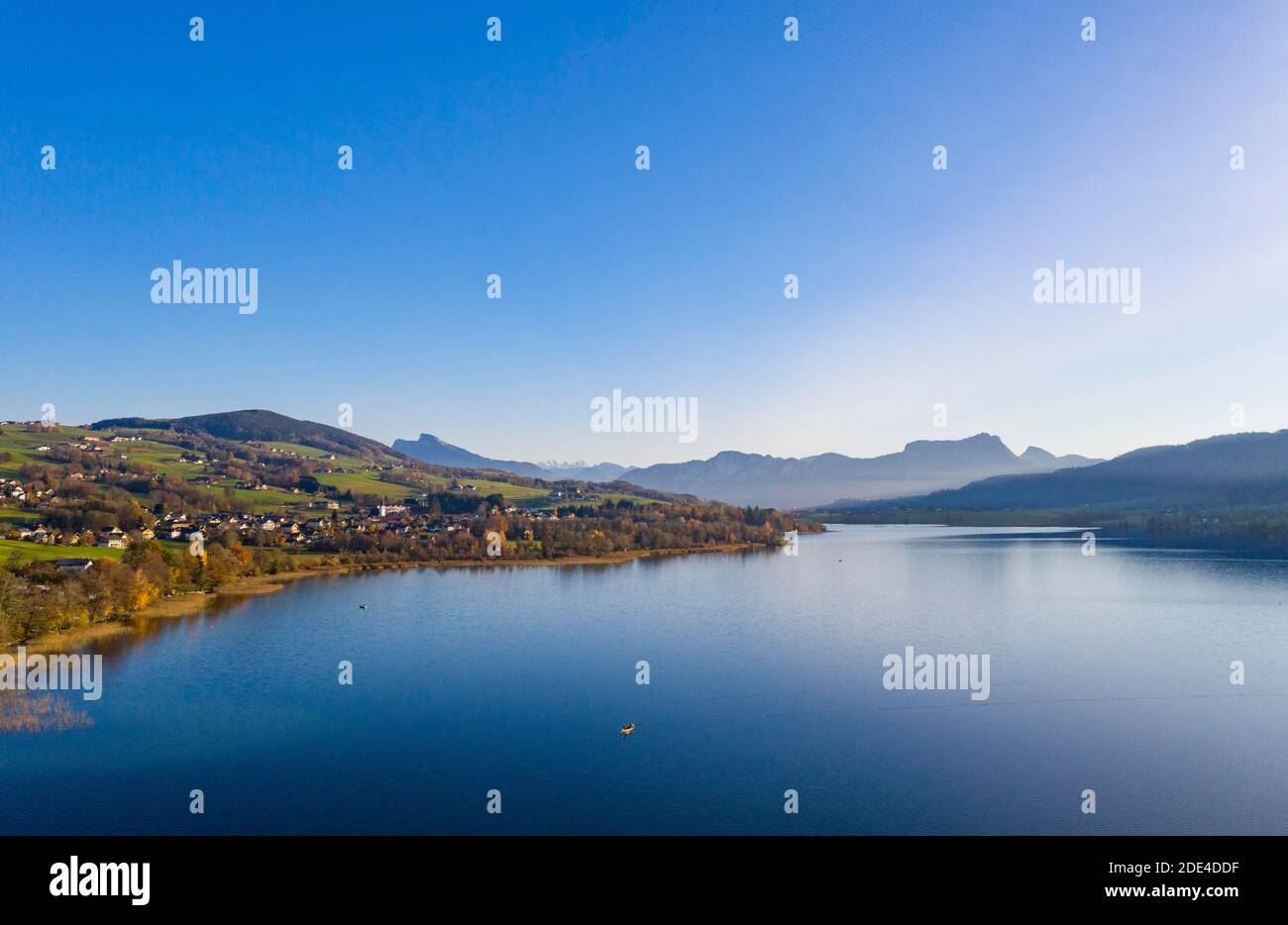 Herbstlich verfärbte Laubbäume am Irrsee mit Blick auf Zell am Moos, Drohnenaufnahme, Luftaufnahme, Salzkammergut, Oberösterreich, Österreich Stockfoto