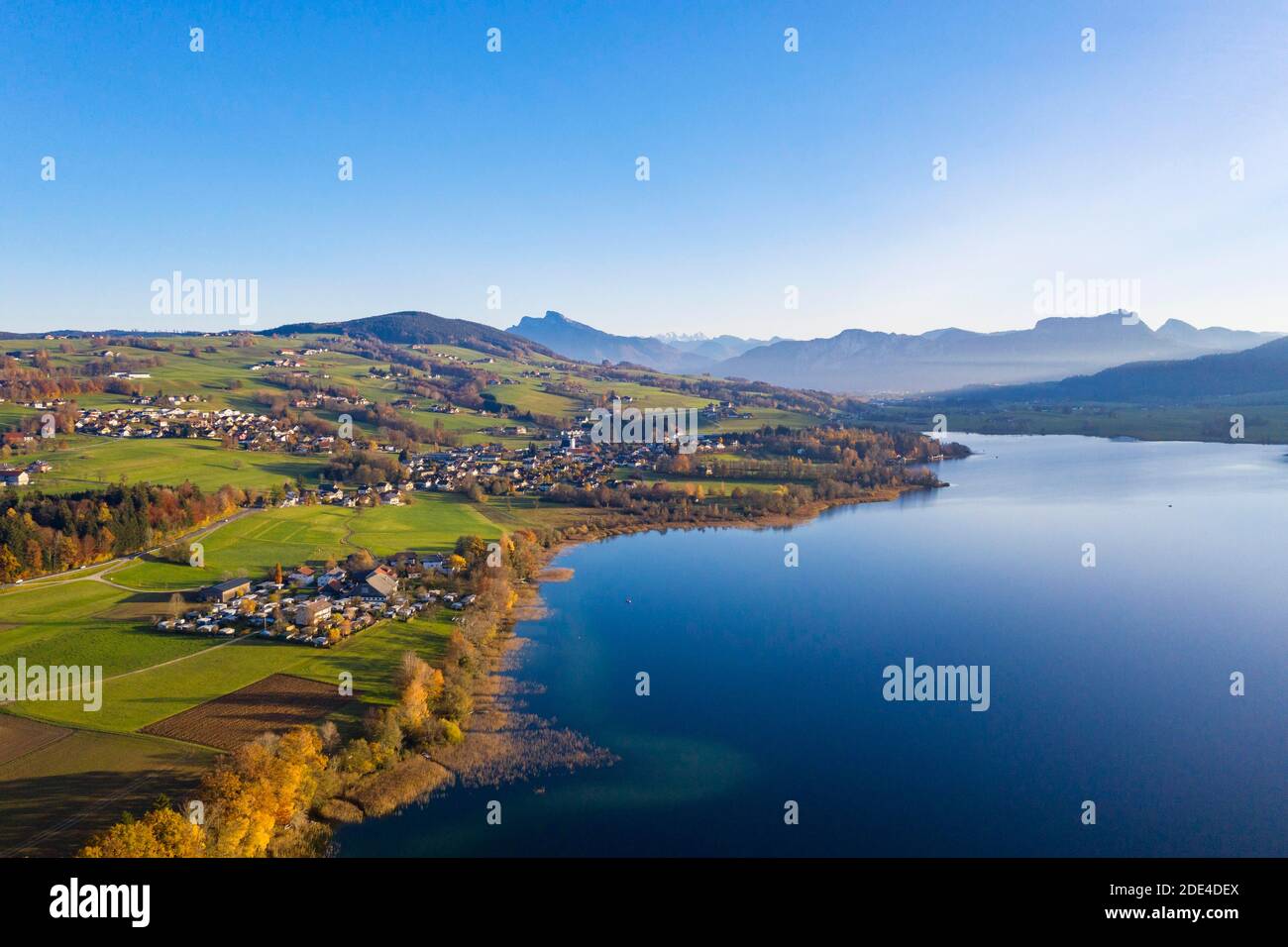 Herbstlich verfärbte Laubbäume am Irrsee mit Blick auf Zell am Moos, Drohnenaufnahme, Luftaufnahme, Salzkammergut, Oberösterreich, Österreich Stockfoto