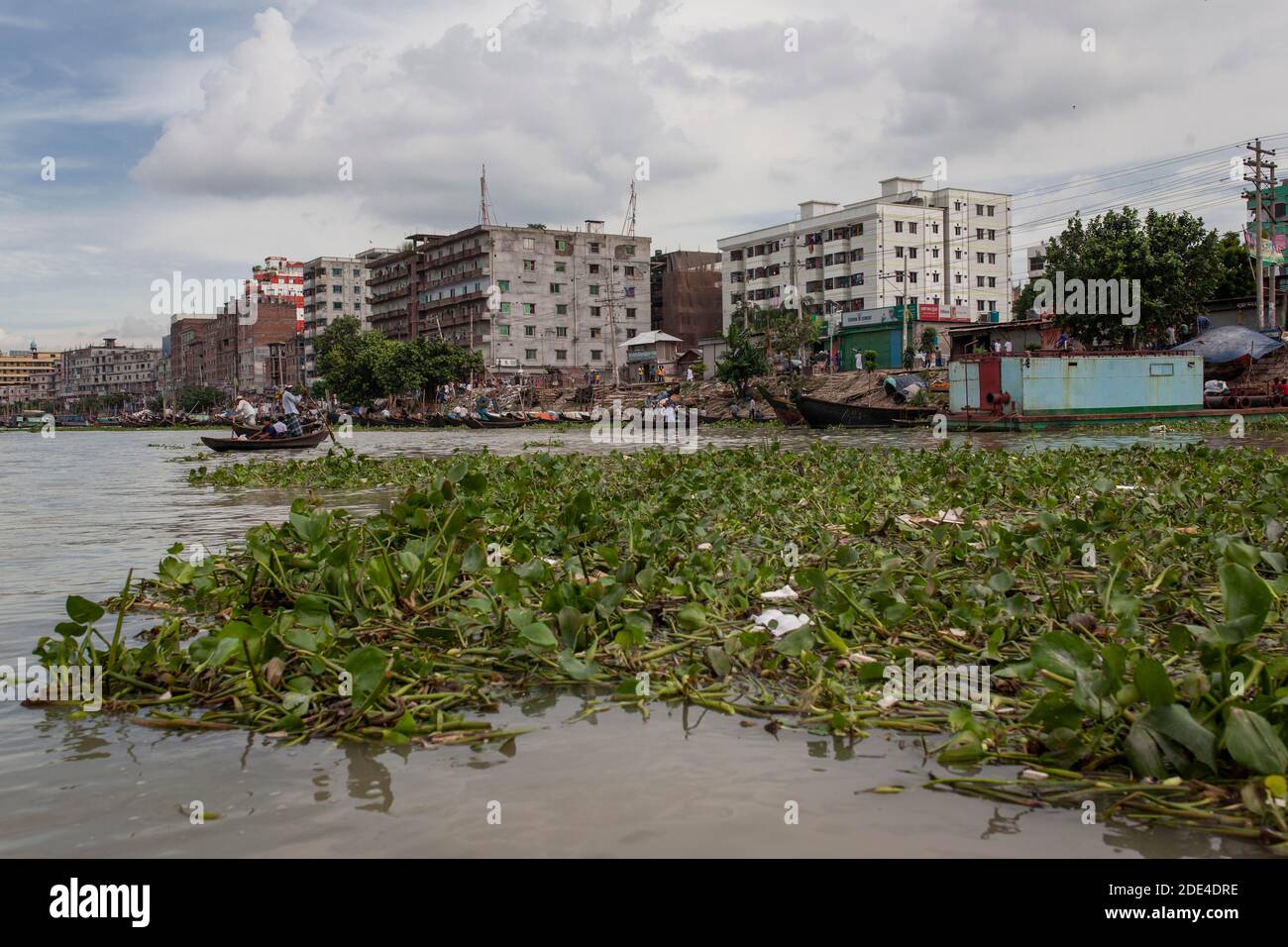 Wasserpflanzen, dahinter Boote, Häuser, Hafen, Dhaka, Bangladesch Stockfoto