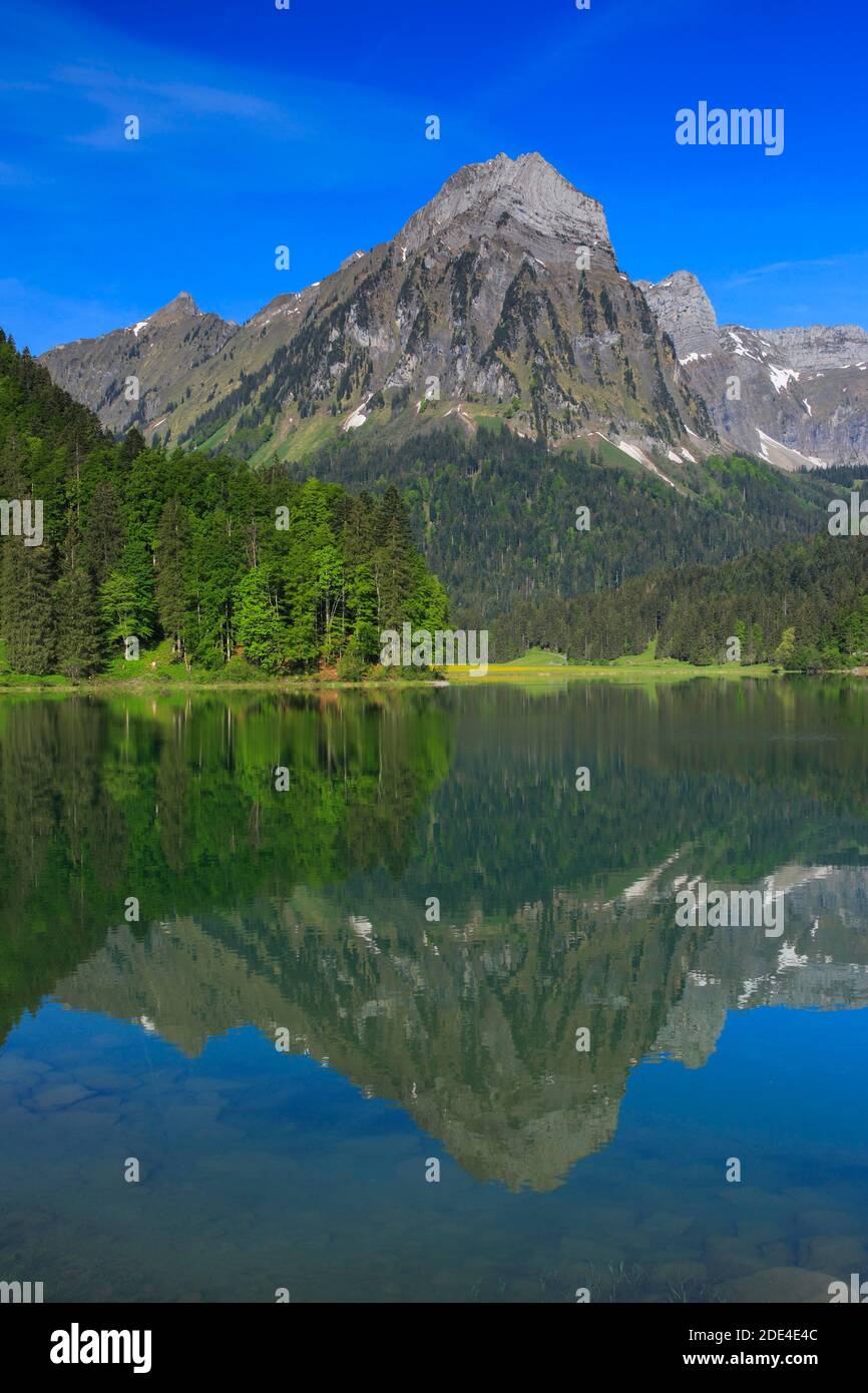 Obersee, Bruennelistock, 2133m, Naefels, Glarus, Glarner Alpen, Schweiz, Bruennelistock, Naefels Stockfoto