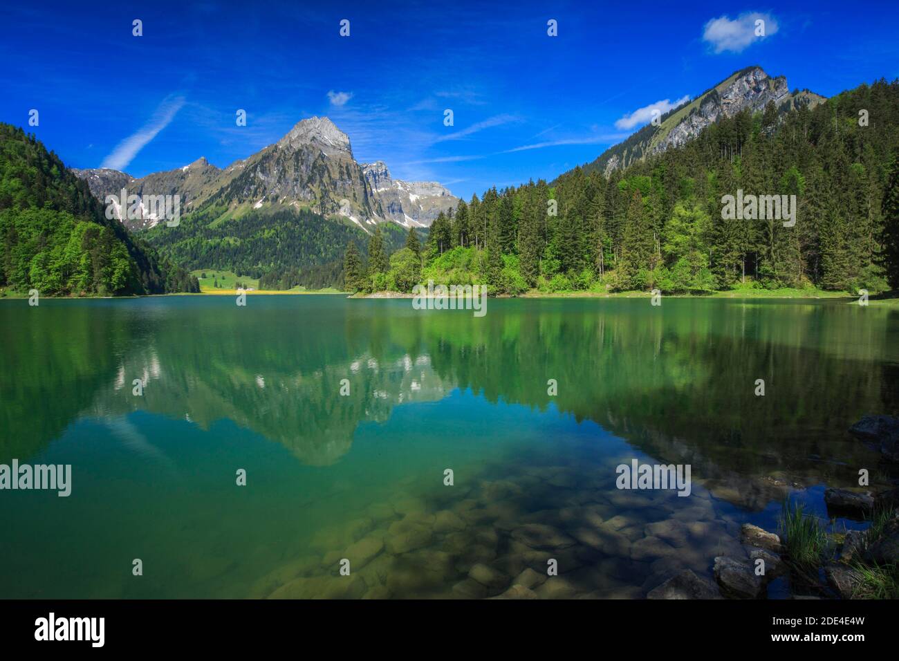 Obersee, Bruennelistock, 2133m, Baerensolspitz, 1831m, Naefels, Glarus, Glarner Alpen, Schweiz, Bruennelistock, Baerensolspitz, Naefels Stockfoto