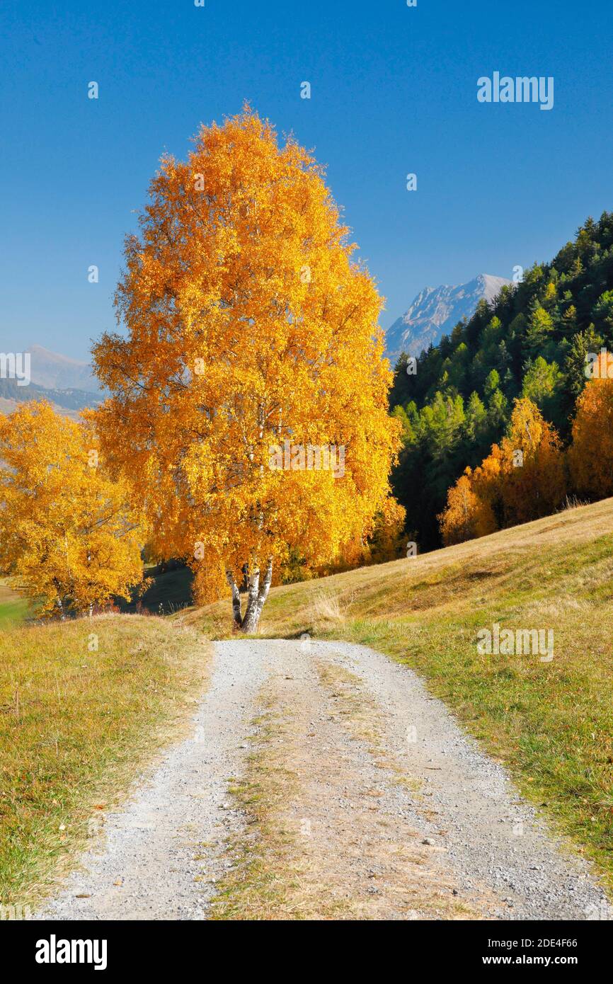 Landstraße im Unterengadin, Schweiz Stockfoto