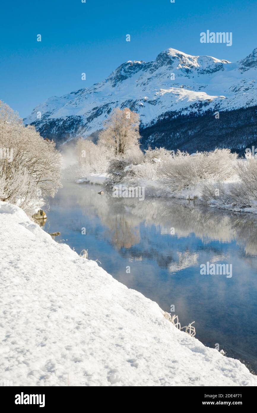 River Inn mit Piz Rosatsch, Piz Surlej und Munt Arlas, Schweiz Stockfoto