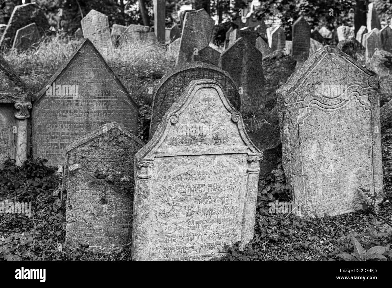 Grabsteine auf dem alten jüdischen Friedhof, Josefsstadt, Prag, Tschechische Republik Stockfoto