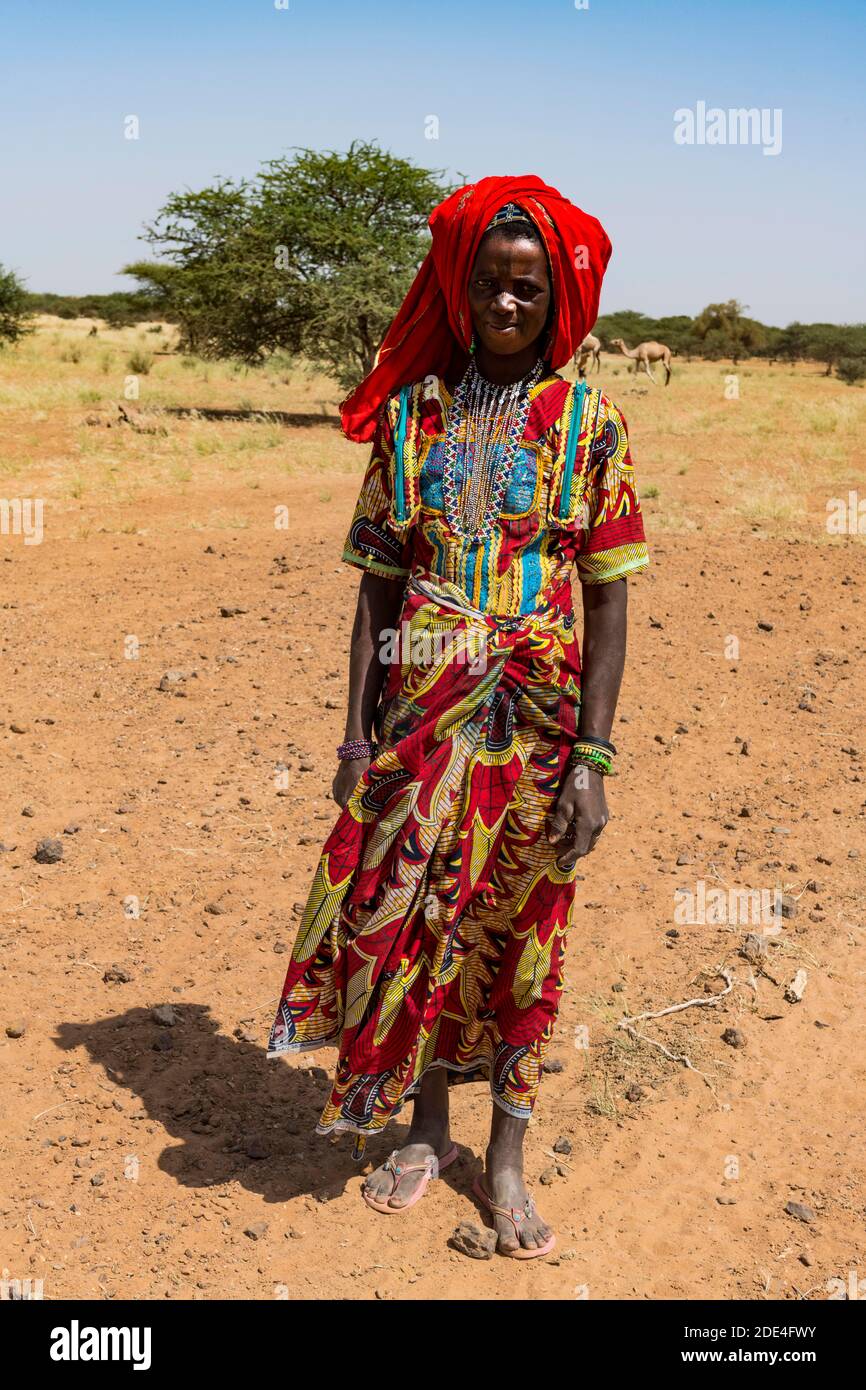 Bunt gekleidete Frau reist mit einer Karawane von Peul-Nomaden Und ihre Tiere in der Sahelzone von Niger Stockfoto