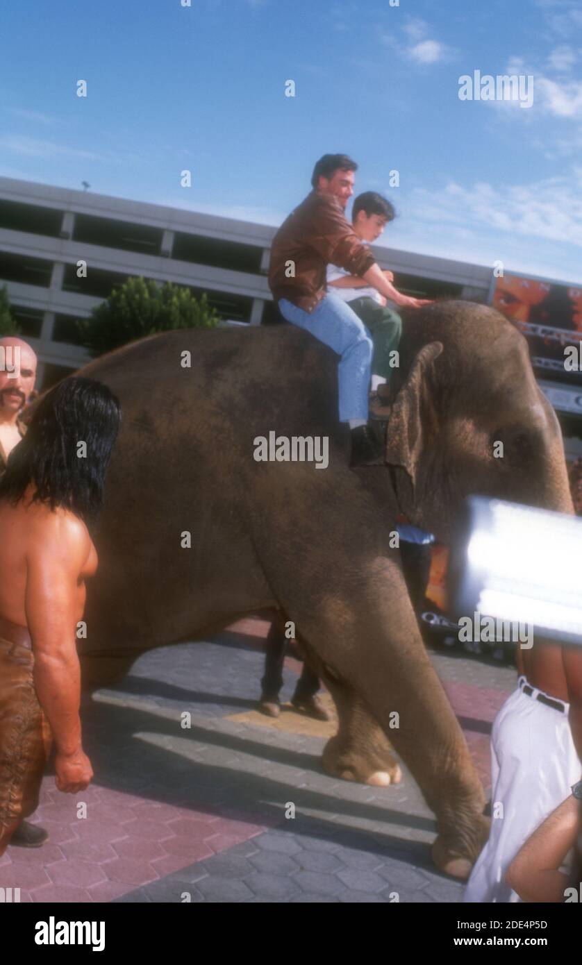 Universal City, California, USA 20. April 1996 Regisseur/Schauspieler Jean-Claude Van Damme und Sohn Kristopher Van Varenberg kommen am 20. April 1996 bei Elephant bei Universal Pictures' 'The Quest' in Cineplex Odeon Universal City Cinemas in Universal City, Kalifornien, USA an. Foto von Barry King/Alamy Stockfoto Stockfoto