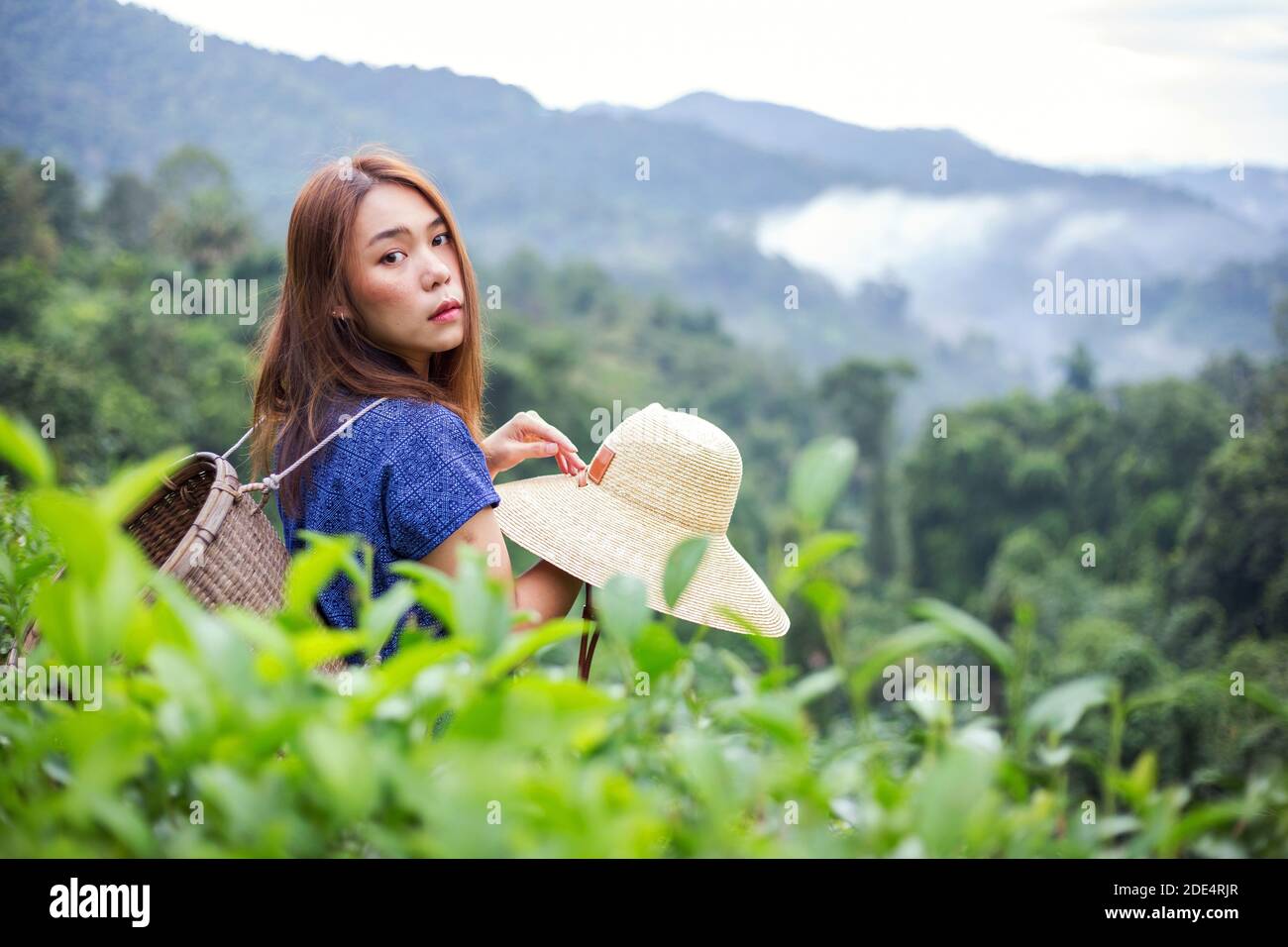 asiatische Farmerin im Tribal-Kostüm-Stil tragen gewebten Korb Herkunft Lifestyle auf Hochland Teeplantage schöne Lage des Nordens Thailand Stockfoto