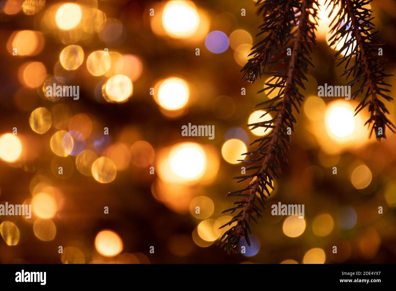 Abstrakter Hintergrund gelbe Bokeh Lichter und Zweige eines Baumes im Winter, Weihnachtshintergrund, gemütliche und warme Gefühle Stockfoto
