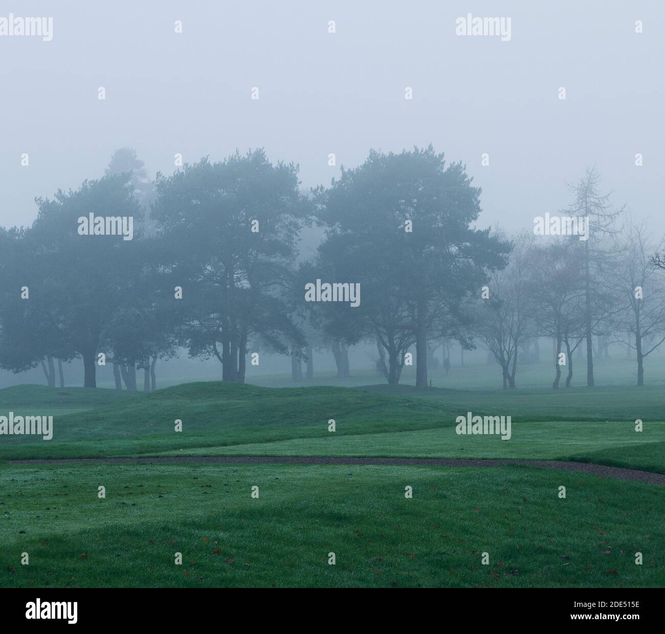 Nebliger Wintermorgen in England mit Blick über Gras zu Bäumen Stockfoto