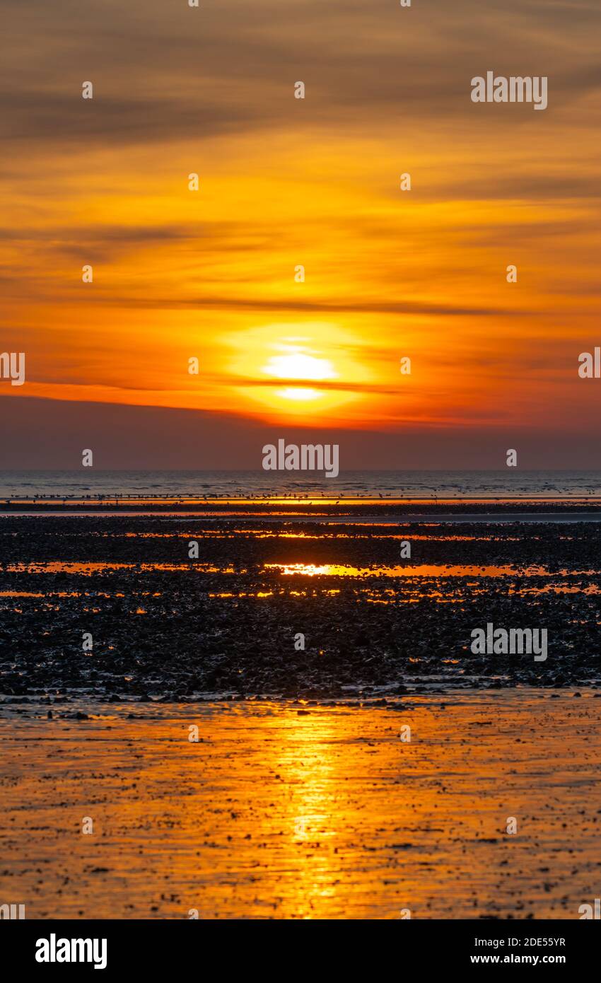 Niedrige Sonne untergeht hinter Wolken an einem schönen Abend am Meer, bei Ebbe. Sonnenuntergang im Winter in Großbritannien. Hochformat. Stockfoto