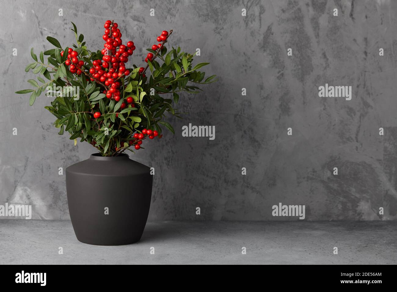 Weihnachtliche rote Stechbeeren in grauer Vase auf grauem Hintergrund, Kopierraum Stockfoto