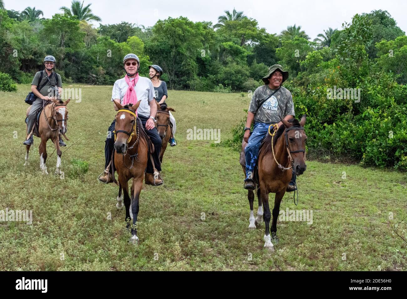 Eine kleine Gruppe von Touristen, die auf pensionierten Stockpferden durch die Regenwälder reiten, angeführt von einem lokalen Wildtierführer, der die Tierwelt in der Welt beobachtet Stockfoto