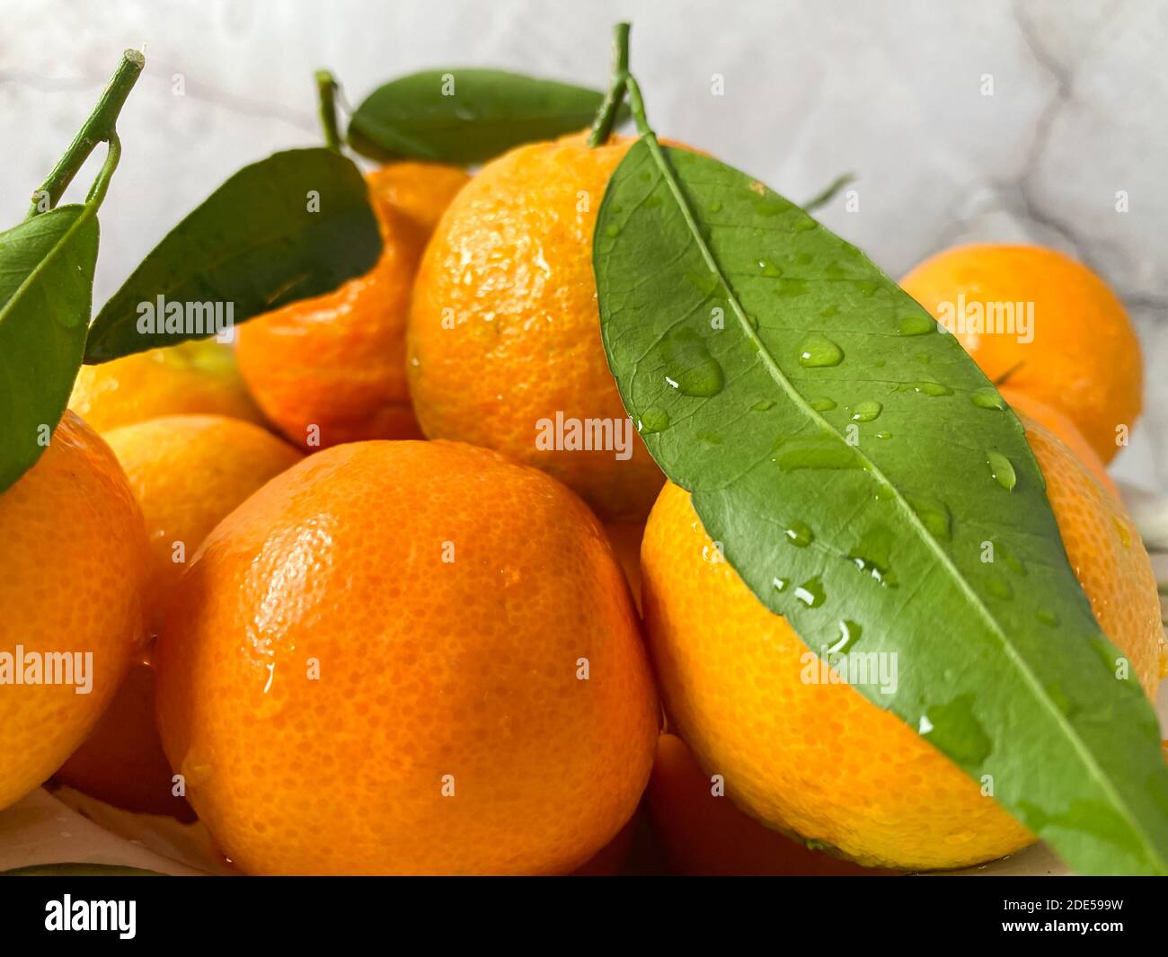 Frische Mandarinen Orangen Früchte oder Mandarinen mit Blättern auf dem Tisch.Frische saftige Clementine Mandarinen, Winterfrüchte Stockfoto