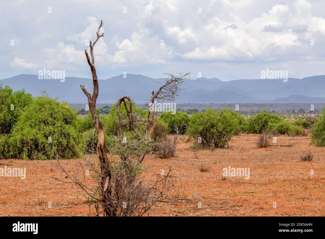 Landschaftlich reizvolle, trockene Landschaften im Samburu National Reserve, Kenia Stockfoto