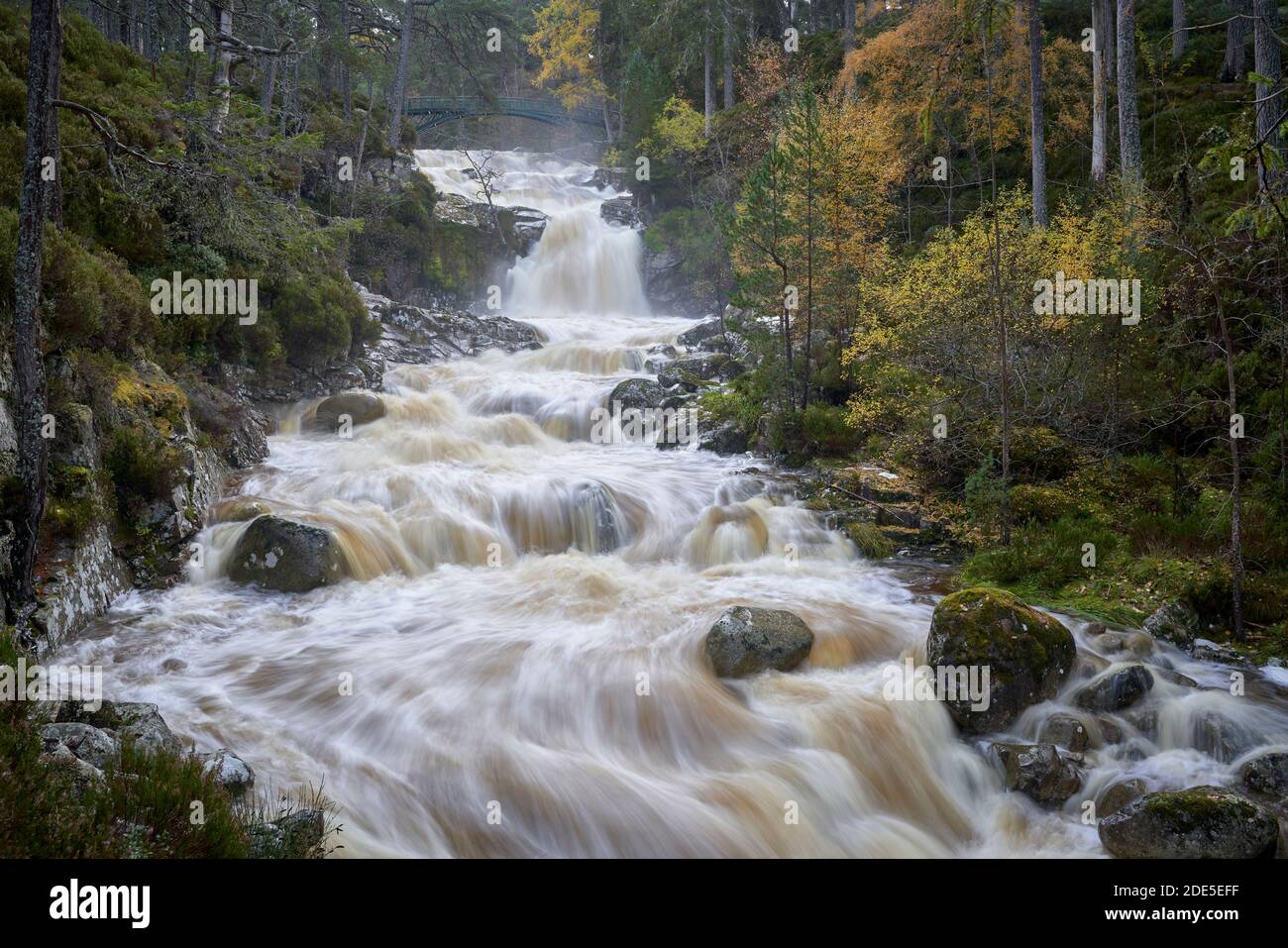 Die Garbh Allt Falls in Spate, Ballochbuie Forest, in der Nähe von Braemar, Deeside, Aberdeenshire, Schottland. Cairngorms National Park. Stockfoto