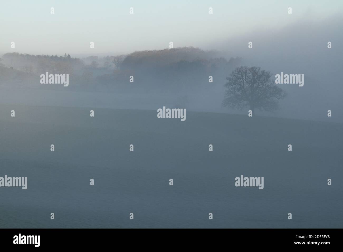 Winter Morning Fog Rollen über die Felder und umhüllen die Bäume auf dem Ridgeway in der Nähe von Ragley, Alcester an der Warwickshire Worcestershire Grenze. Stockfoto