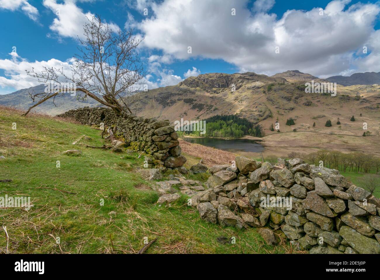 Ein Blick durch eine zerbrochene Trockensteinmauer über Blea Tarn von Lingmoor fiel Blick auf die zerklüfteten Berge von blake Rigg und Pferd cragg in der Stockfoto