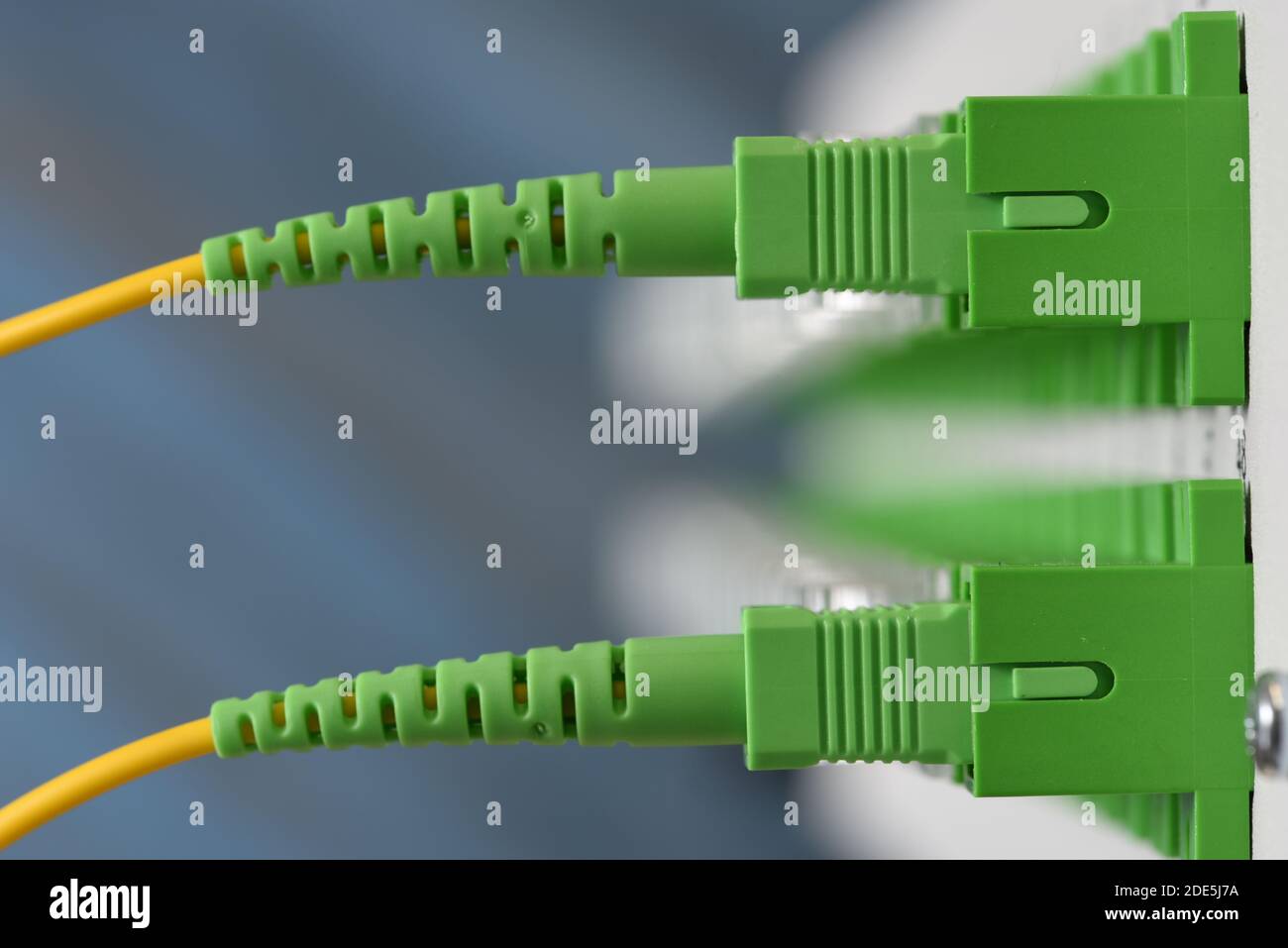 Verteilertafel mit angeschlossenen optischen Rangierkabeln in Nahaufnahme Stockfoto