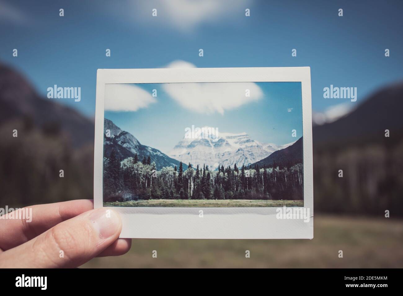 Mount Rainer Polaroid Stockfoto