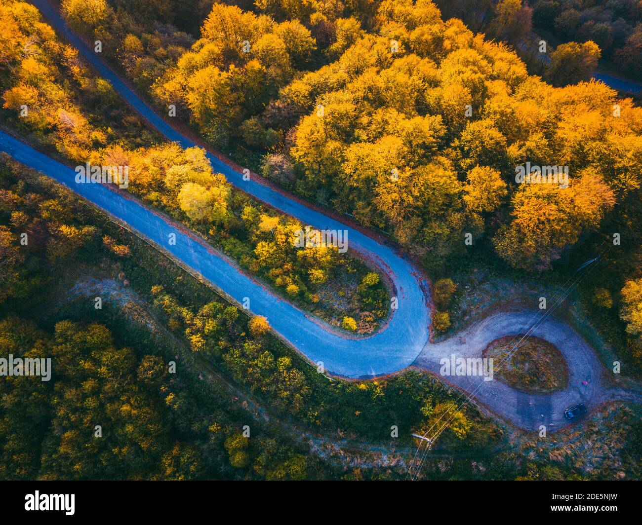 Straße im Wald. Subcarpathia, Polen. Stockfoto