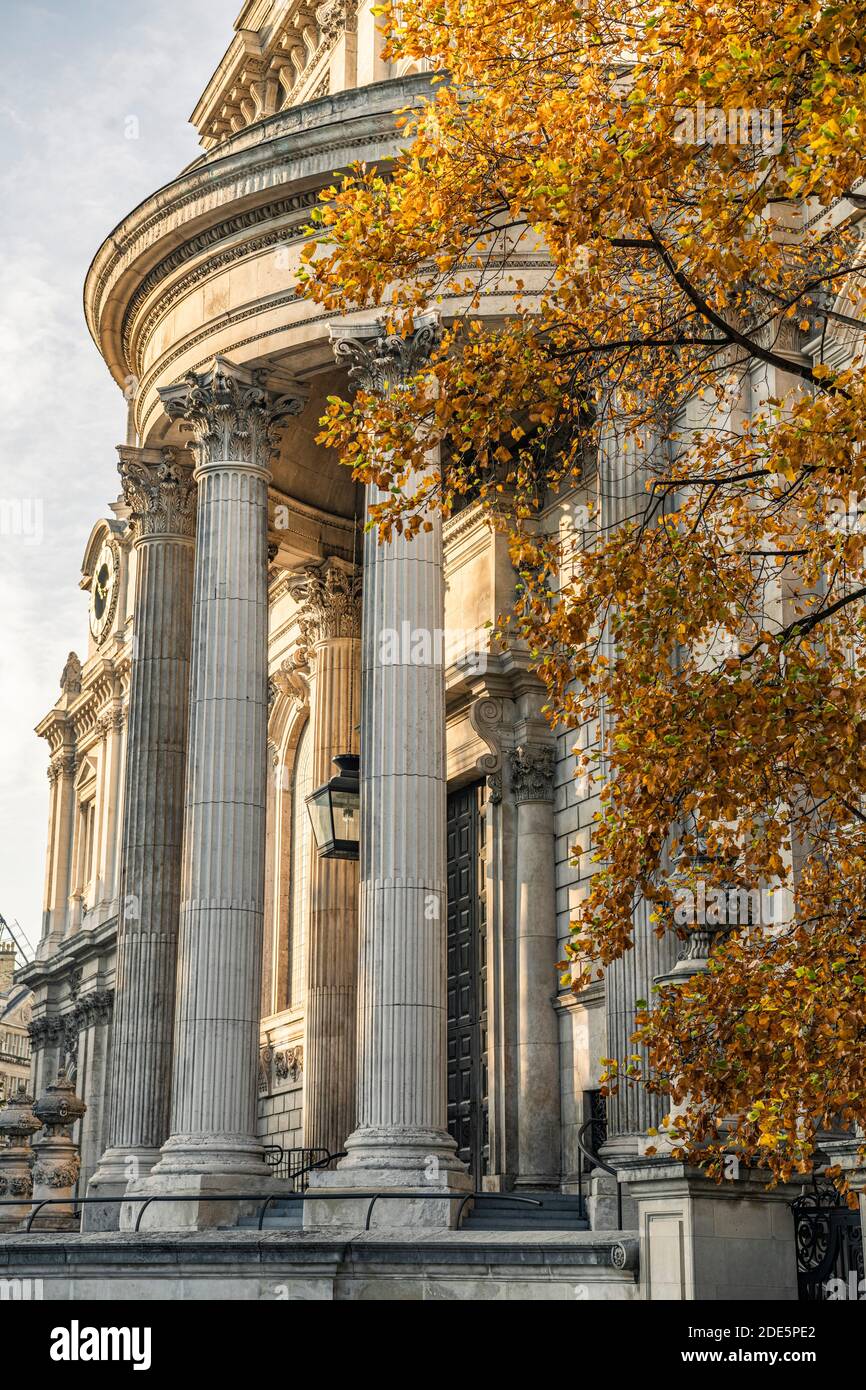 St Pauls Cathedral, ein Wahrzeichen der Londoner Touristenattraktion mit bunten orangefarbenen Herbstbäumen in der Stadt, aufgenommen in Coronavirus Covid-19 Pandemie Lockdown, England, Großbritannien, Europa Stockfoto