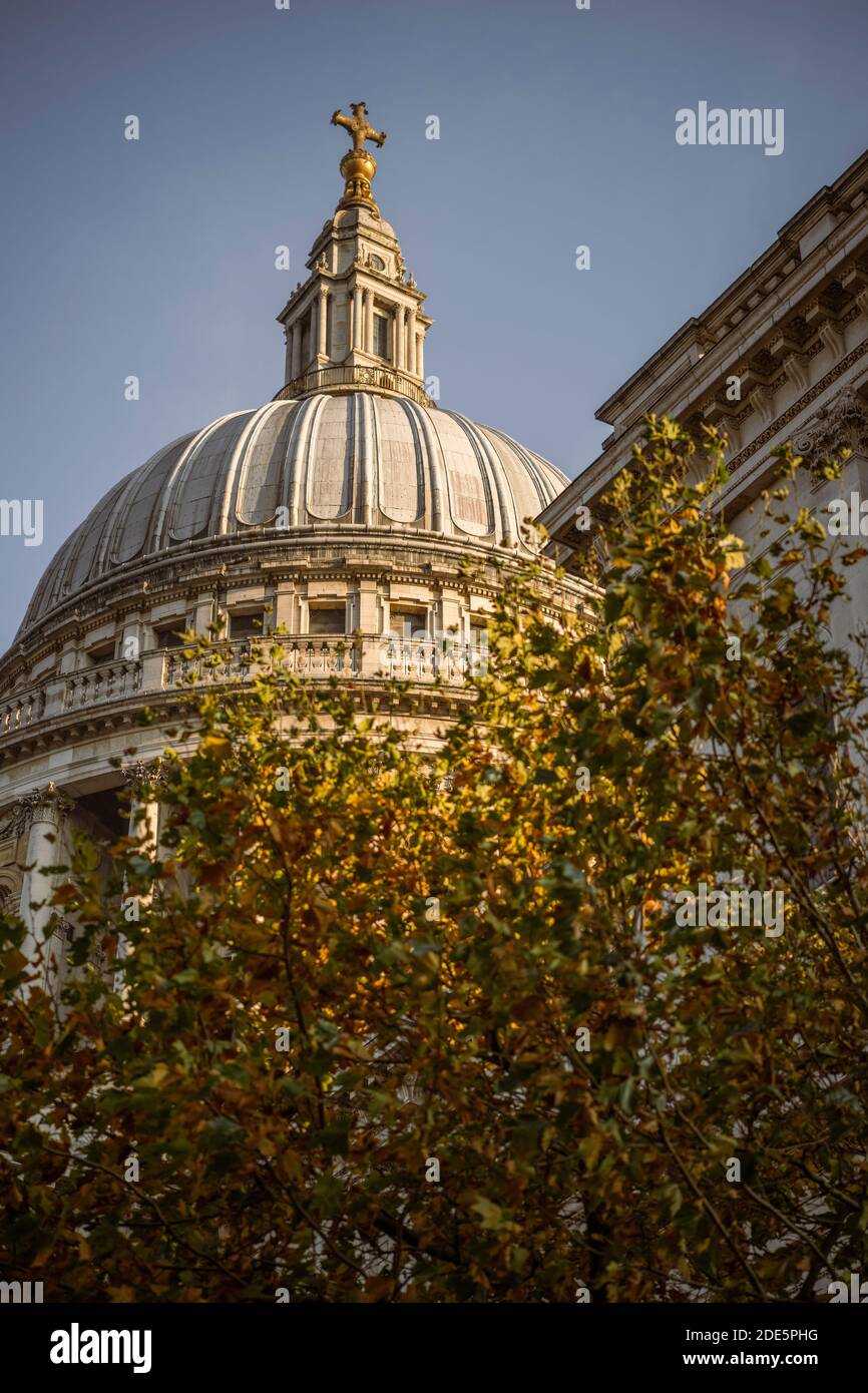 St Pauls Cathedral, ein Wahrzeichen der Londoner Touristenattraktion mit bunten orangefarbenen Herbstbäumen in der Stadt, aufgenommen in Coronavirus Covid-19 Pandemie Lockdown, England, Großbritannien, Europa Stockfoto