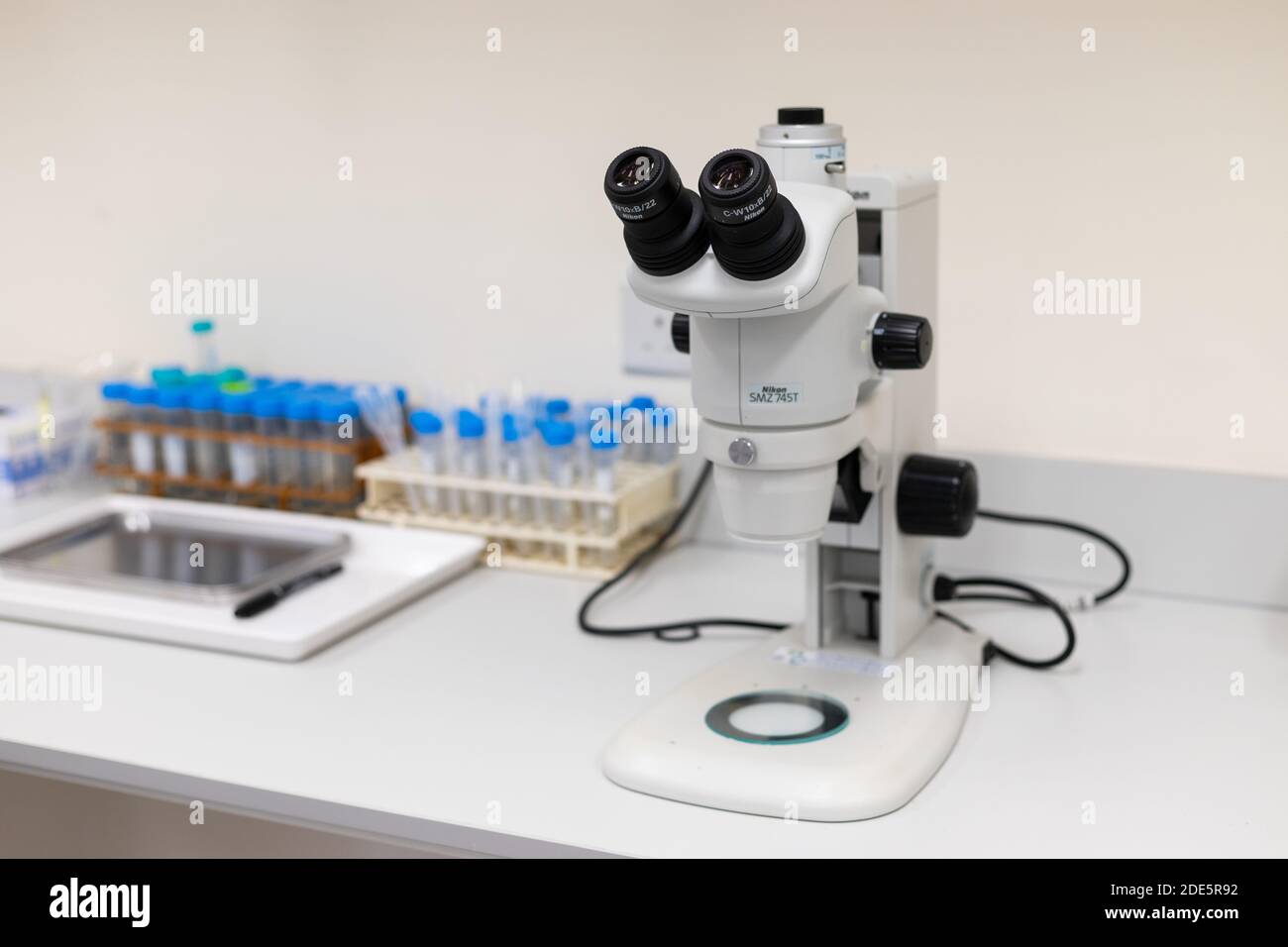 28 Nov 2020 Mikroskope mit leistungsstarken Bildgebungsfunktionen und Well Geeignet für industrielle und biomedizinische Anwendungen in einem modernen Labor in U Stockfoto