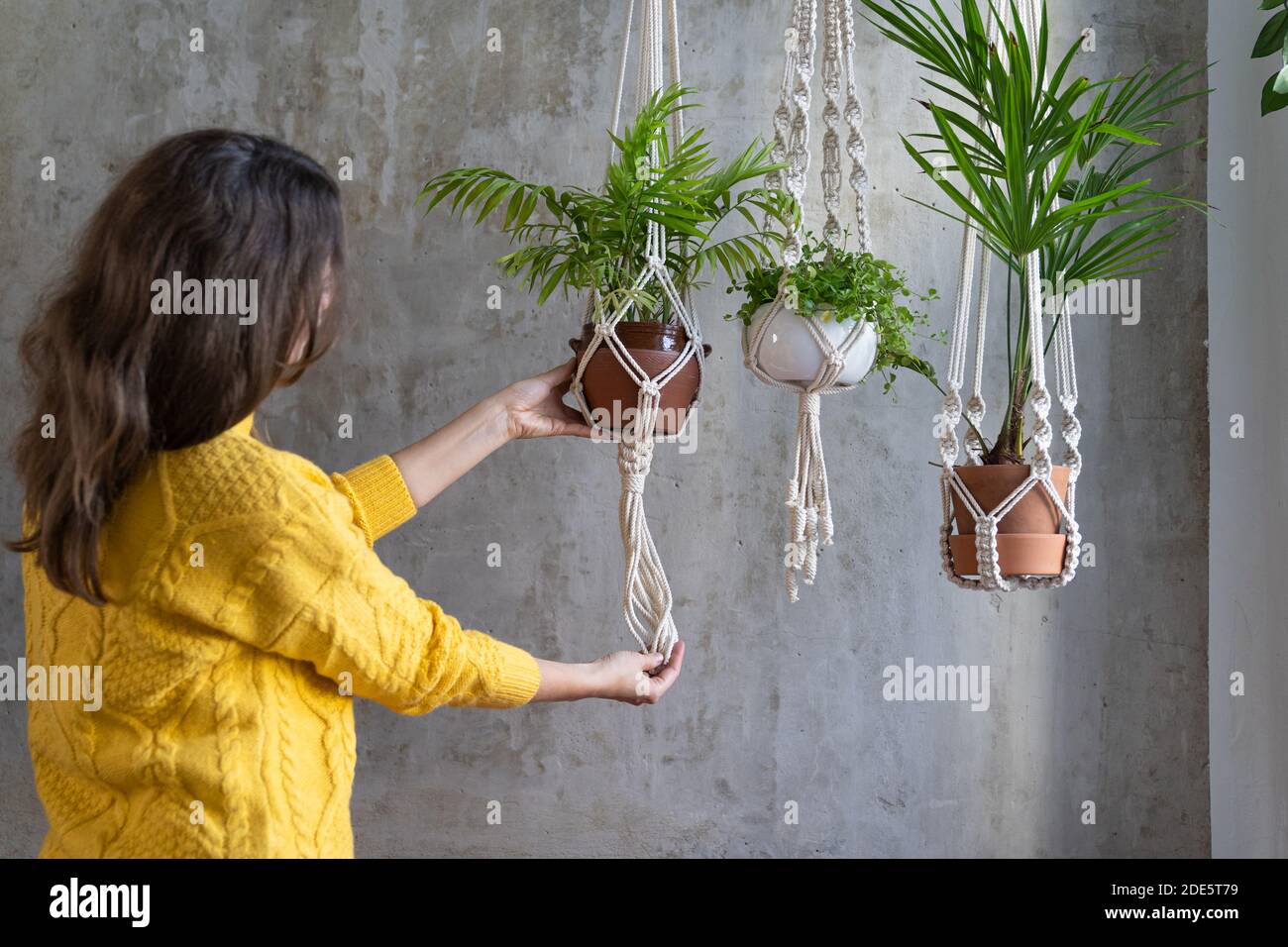 Frau Gärtner hält Macrame Pflanze Kleiderbügel mit Zimmerpflanze über graue Wand. Hobby, Liebe zu Pflanzen, Heimtextilien-Konzept. Stockfoto