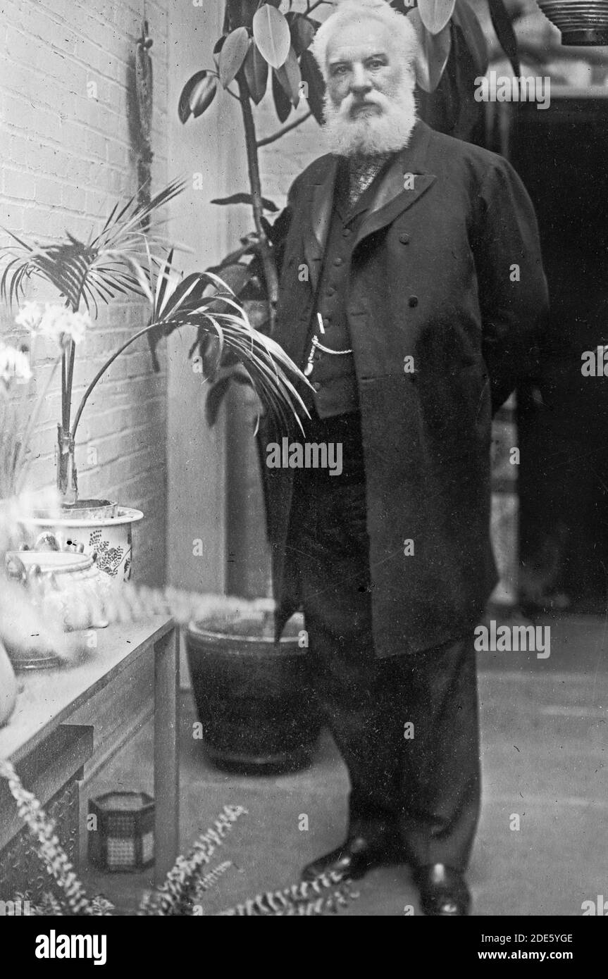 A.G. Bell, stehend, unter Pflanzen Stockfoto