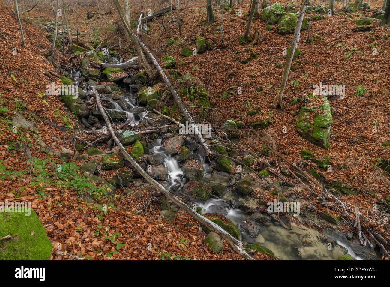 Cascade und Bach Bystricka in der Nähe Bystrice pod Hostynem Stadt in ostmähren im kalten Herbsttag Stockfoto