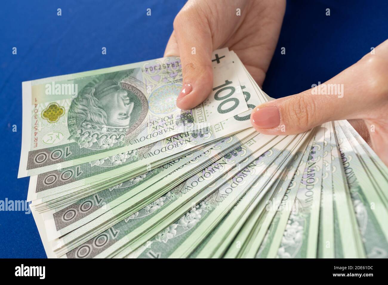 Grüne Banknoten in jungen weiblichen Händen gehalten. Blaue Tischdecke auf dem Tisch. Stockfoto