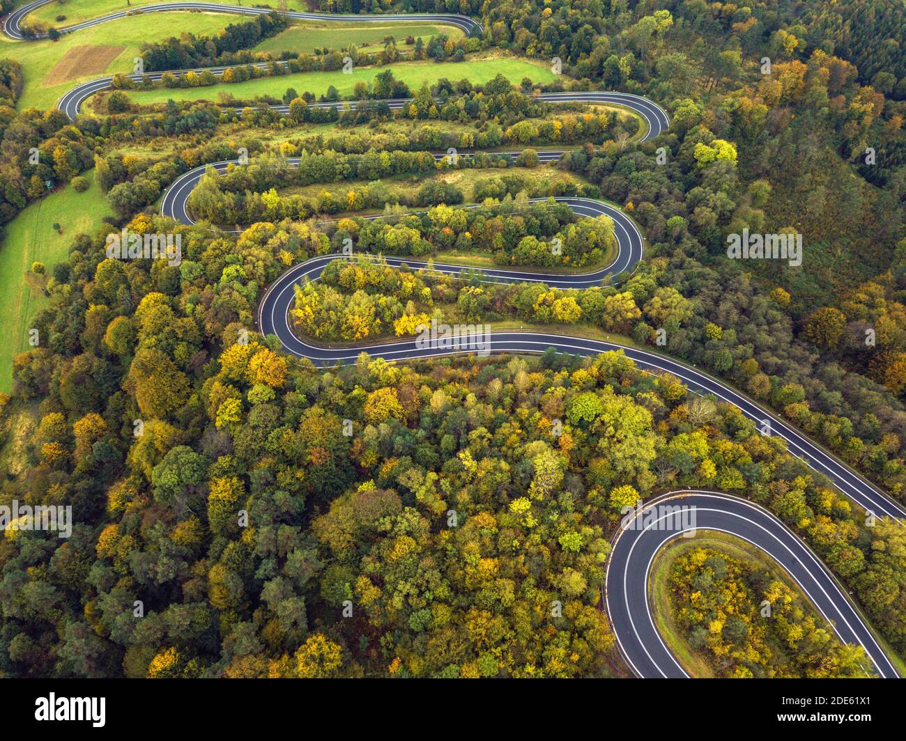 Kurvenreiche Straße in Polen. Subcarpathia, Polen. Stockfoto