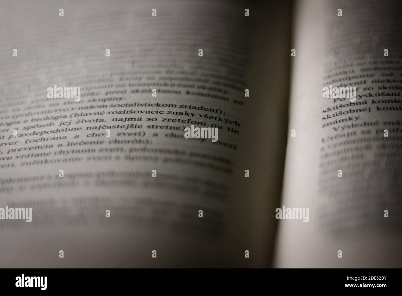 Das Buch wurde nachts mit verschwommener Schrift geöffnet Stockfoto