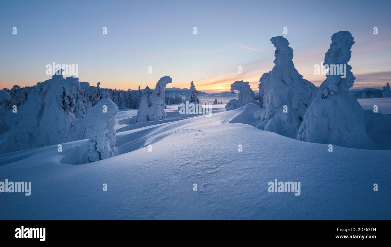 Winteransicht der Kubinska hola auf der Nordslowakei Stockfoto