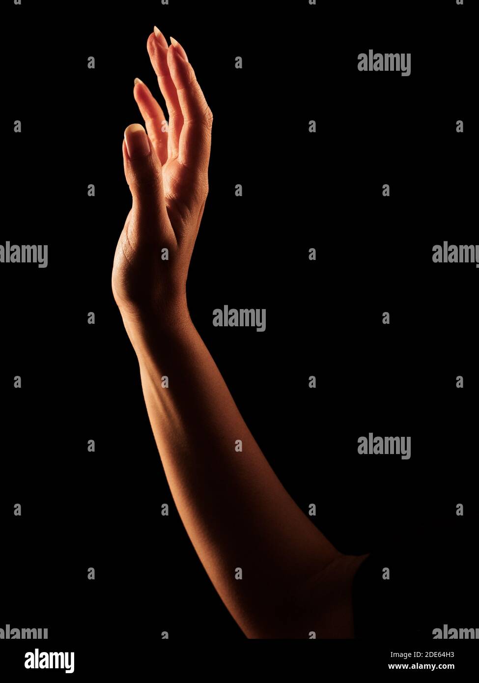 Schöne Frauenhand in Rim Light Stockfoto