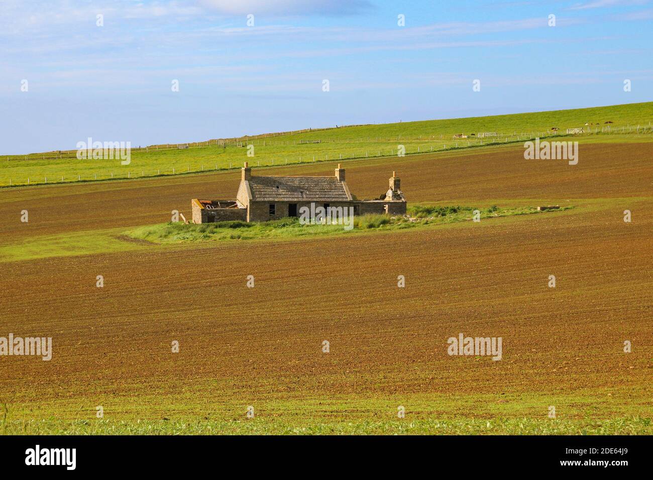 Eine verlassene Hütte in der Mitte eines Feldes in Orkney Stockfoto
