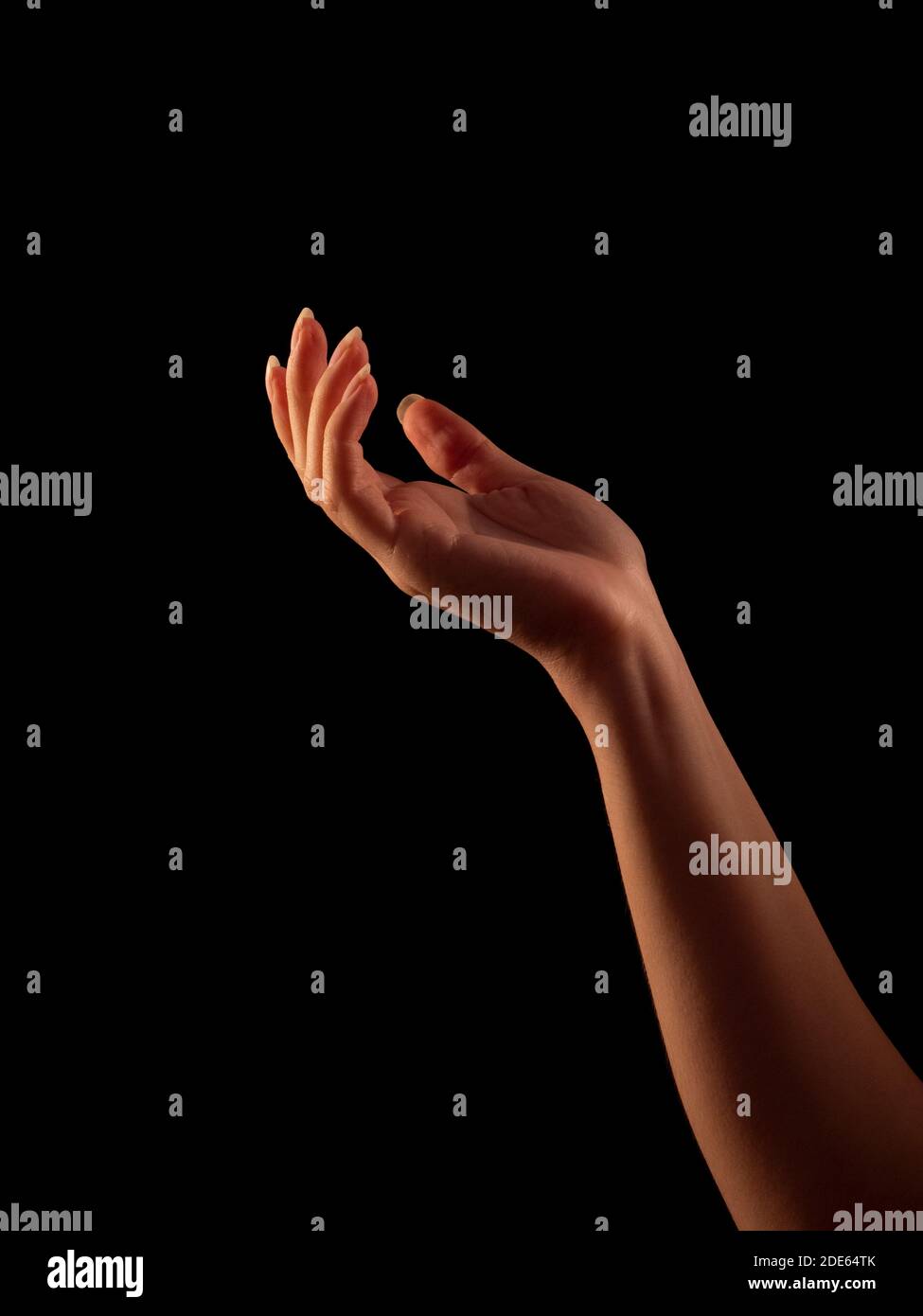 Schöne Frauenhand in Rim Light Stockfoto