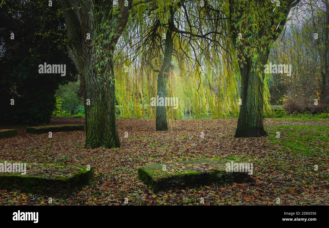 Beverley, Yorkshire, UK. Bäume und bunte Blätter und rock Felsblöcke neben Canal Bank im Herbst in Beverley, Yorkshire, UK. Stockfoto