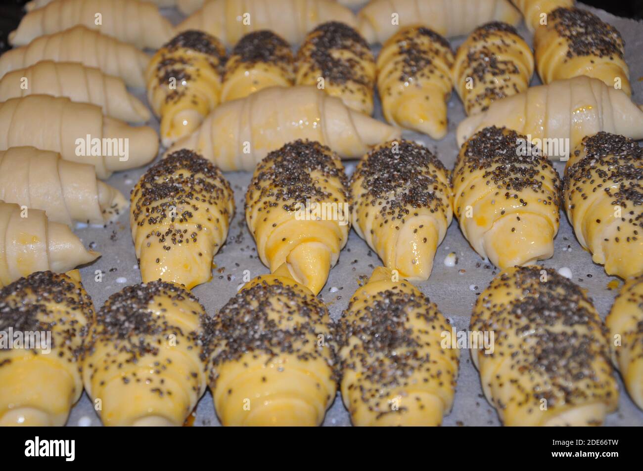 Teigbrötchen bereit zum Backen mit Chiasamen.Ungebackener Teig mit Salz und Chiasamen bestreut.Brötchen mit Chiasamen. Stockfoto