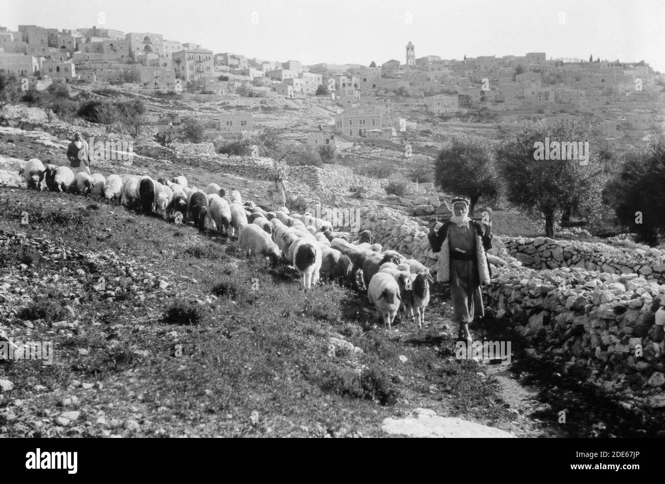 Bethlehem. Der Ort mit Schäfer & Herde im Vordergrund ca. 1940 - 1946 Stockfoto