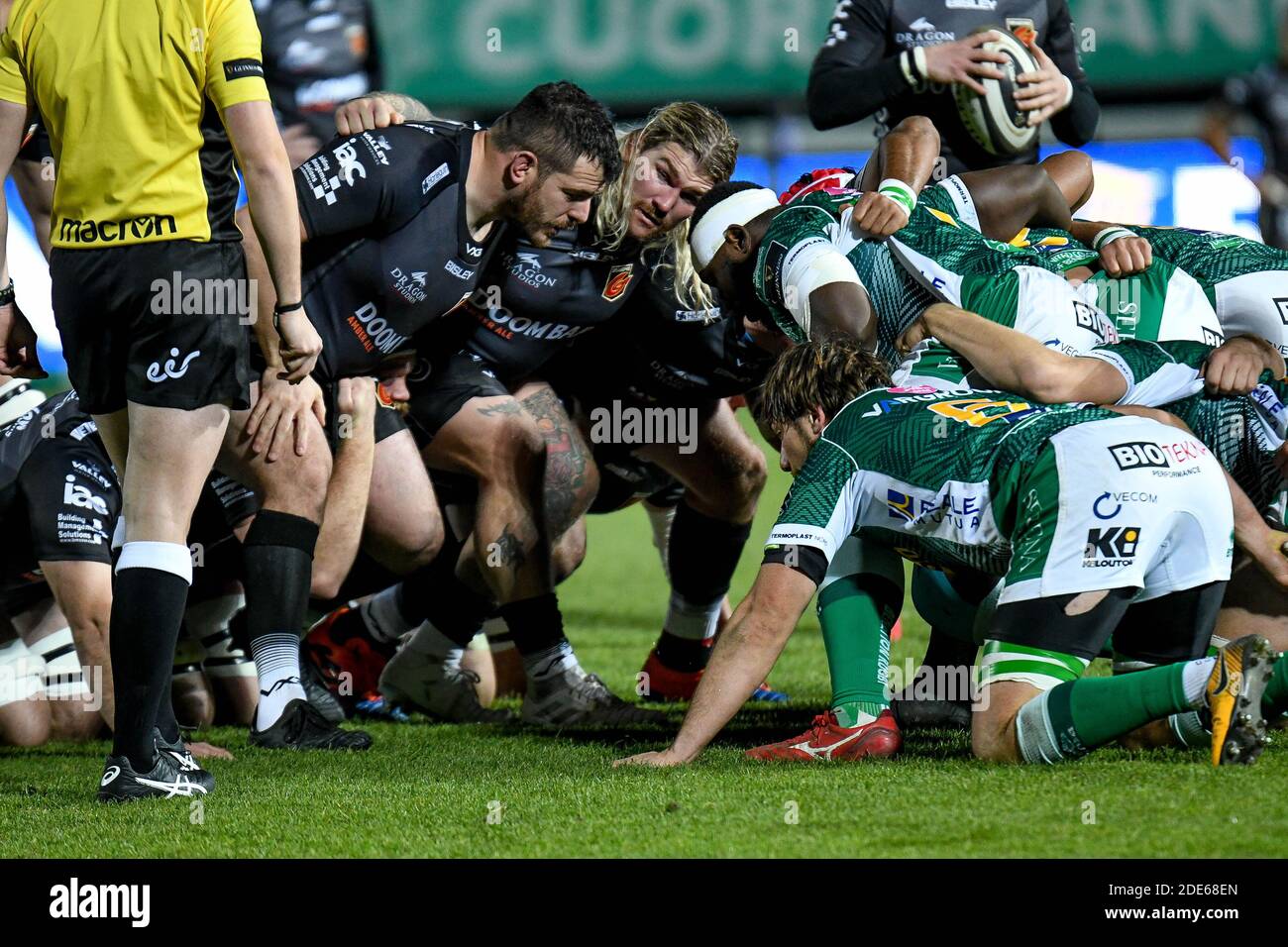 Monigo Stadion, Treviso, Italien, 29 Nov 2020, Richard Hibbard (Drachen) während des Scrum während Benetton Treviso vs Dragons Rugby, Rugby Guinness Pro 14 Spiel - Foto Ettore Griffoni / LM Stockfoto