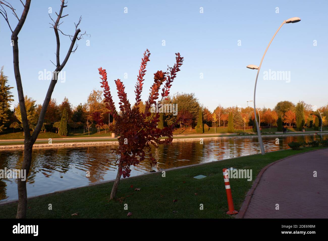 Blick vom Park im Herbst Stockfoto
