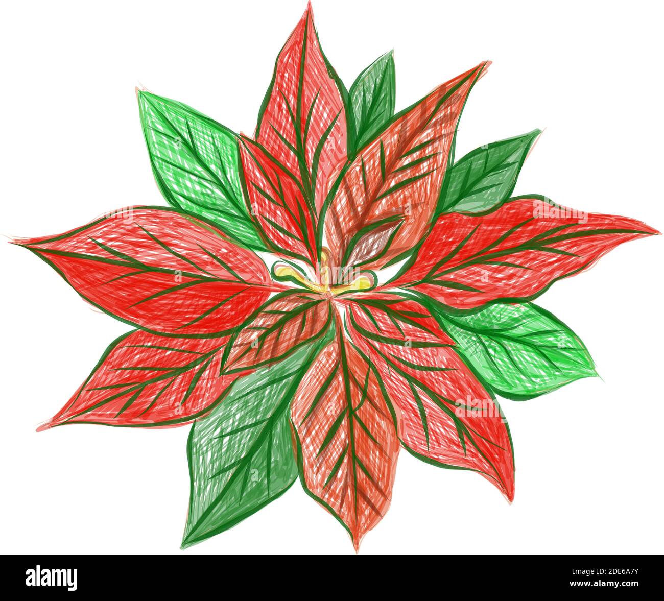 Illustration Handgezeichnete Skizze von Weihnachtsstern oder Euphorbia  pulcherrima Plant Zeichen fr Weihnachtsfeier isoliert auf weiem  Hintergrund Stock-Vektorgrafik - Alamy