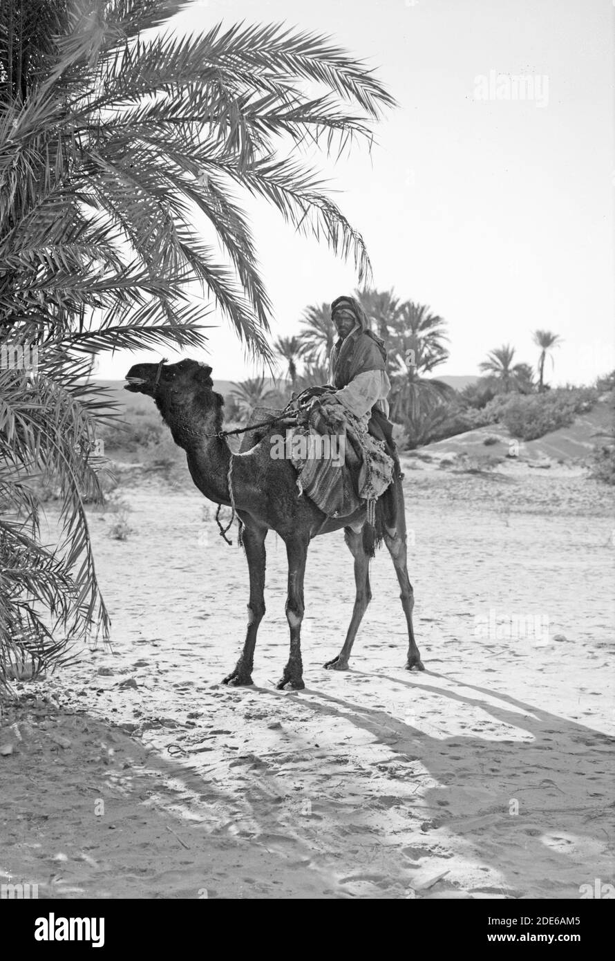 Bildunterschrift: Nach Sinai über das Rote Meer Tor und Wady Hebran. Szene in el-Wad. - Lage: Sinai Ägypten ca. 1900 Stockfoto